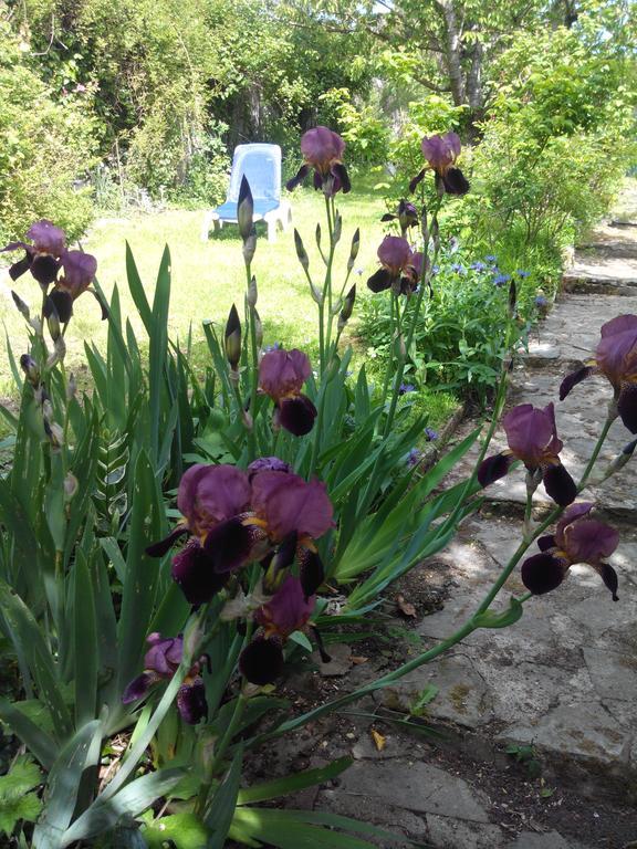 Gite De Charme Floreales Les Myosotis Asnelles Rum bild